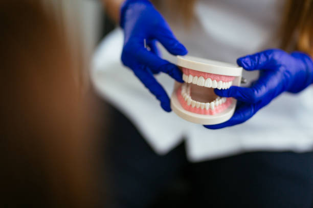  New Haven, IN Holistic Dental Care Services Pros